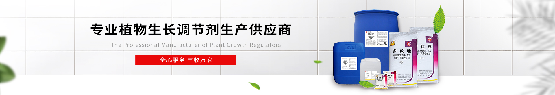 企業(yè)文化