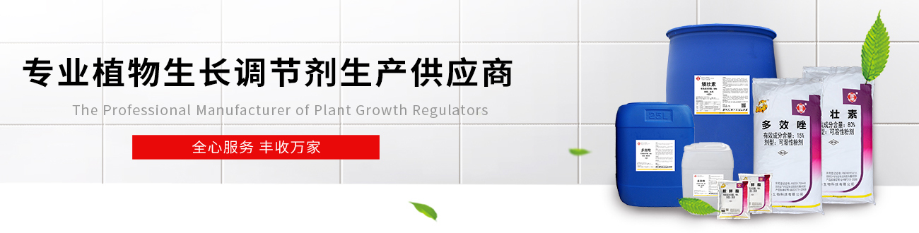 企業(yè)文化